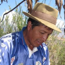 Alfredo Ibarra
